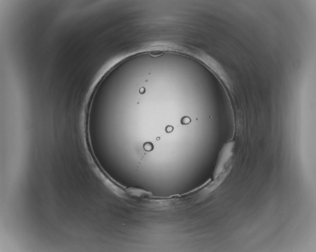 X0000112541438200908241518