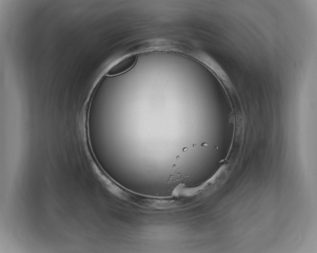 X0000112541439200908241518