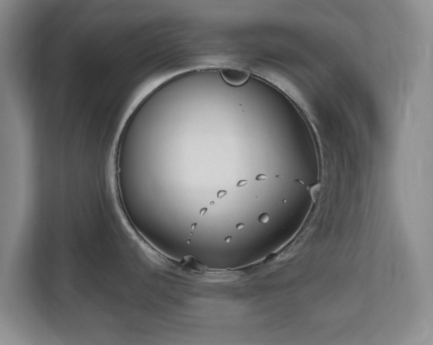 X0000112541440200908241518
