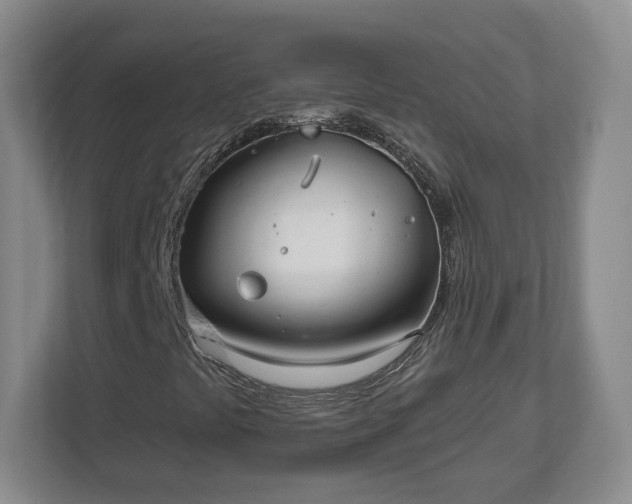 X0000112541441200908241517
