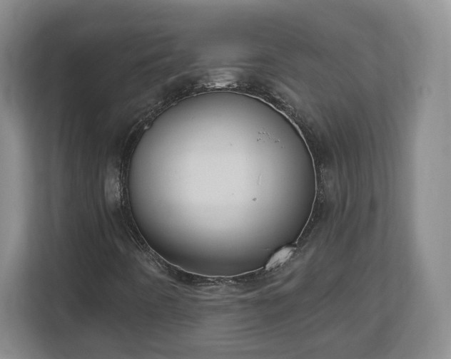 X0000112541442200908241517