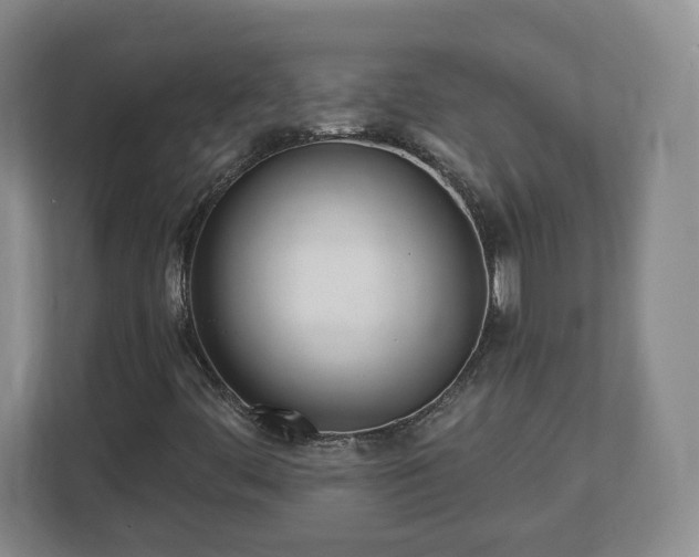 X0000112541444200908241517