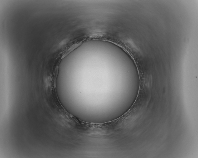 X0000112541445200908241517