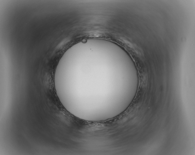X0000112541446200908241517