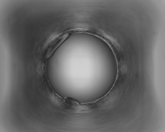 X0000112541448200908241517
