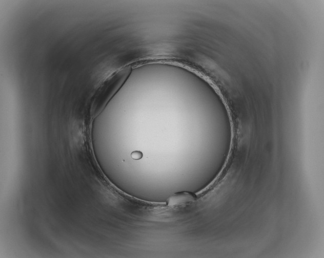 X0000112541449200908241517
