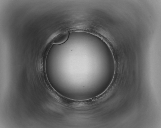 X0000112541450200908241517