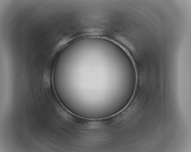 X0000112541451200908241517