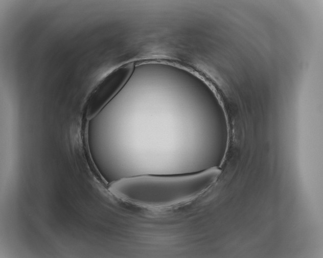 X0000112541452200908241517