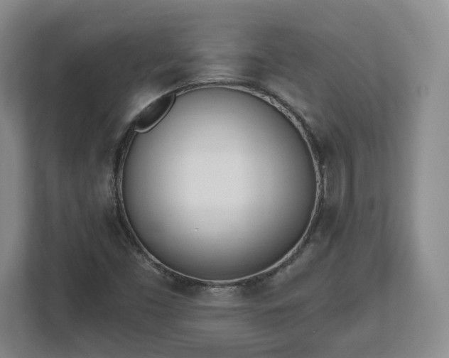 X0000112541453200908241517