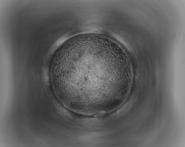 X0000112541455200908241517