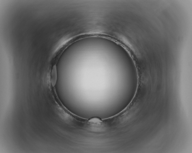 X0000112541456200908241517