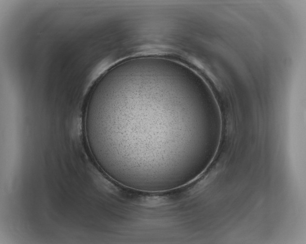 X0000112541459200908241517