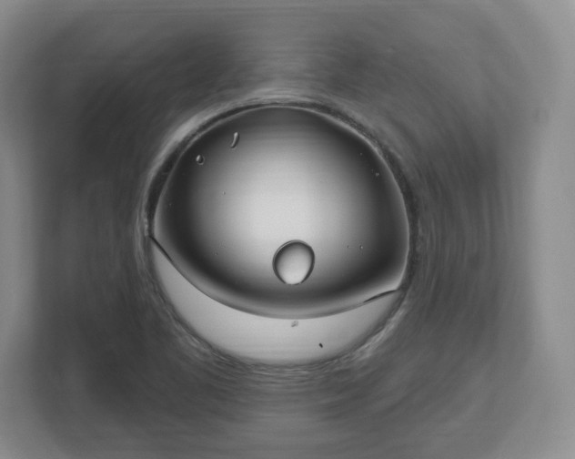 X0000112541461200908241517