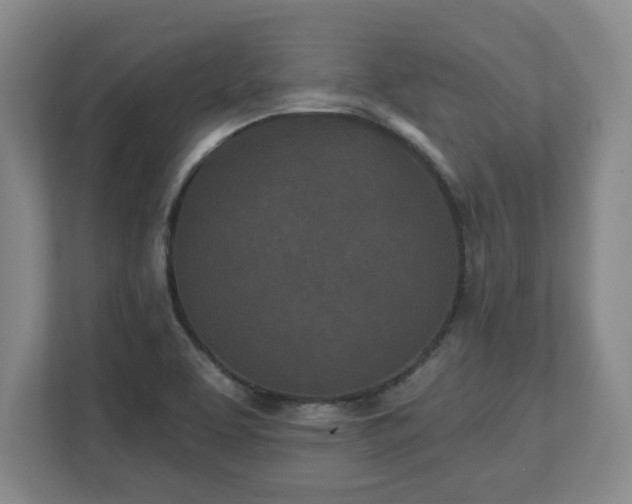 X0000112541463200908241517