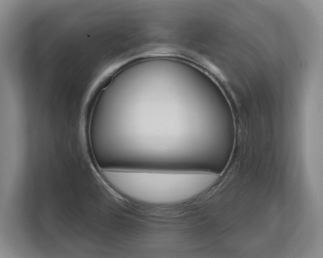 X0000112541464200908241517