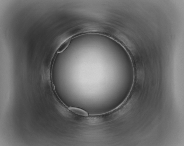X0000112541465200908241517