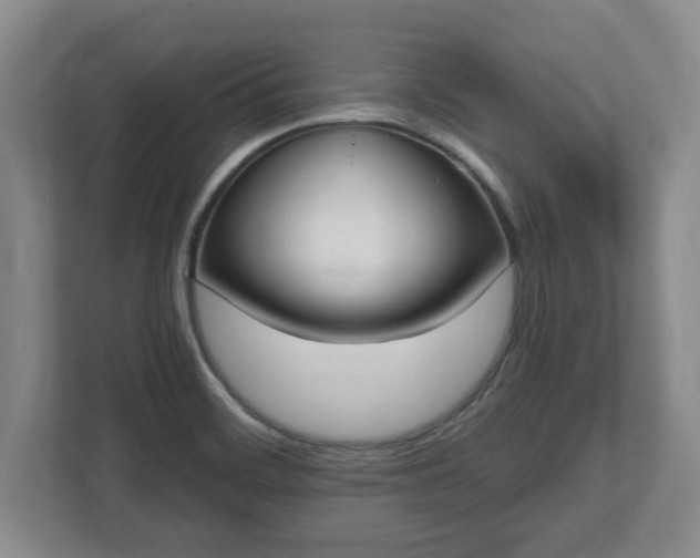 X0000112541468200908241517