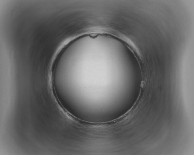 X0000112541472200908241517