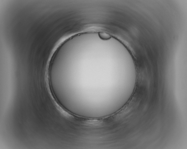 X0000112541478200908241517