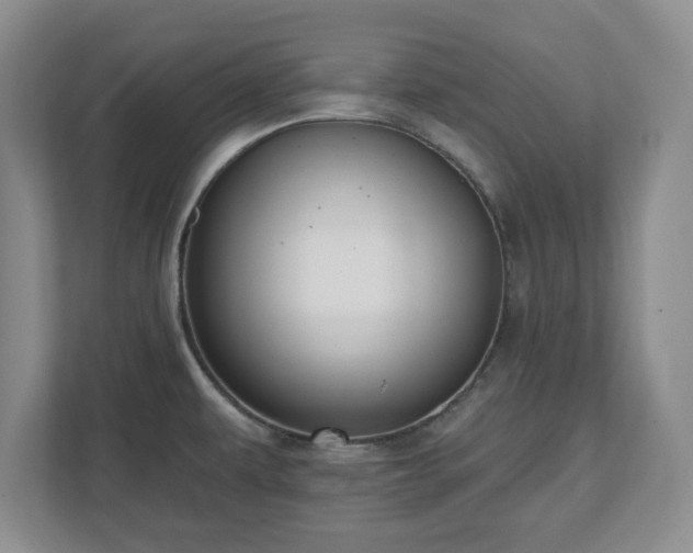 X0000112541479200908241517