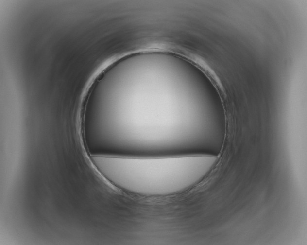 X0000112541480200908241517