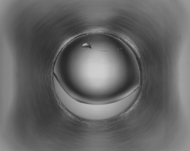 X0000112541481200908241517