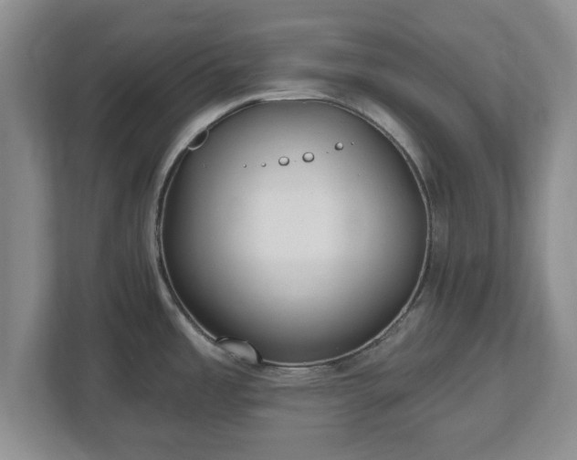 X0000112541485200908241517