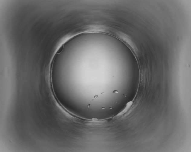 X0000112541487200908241517