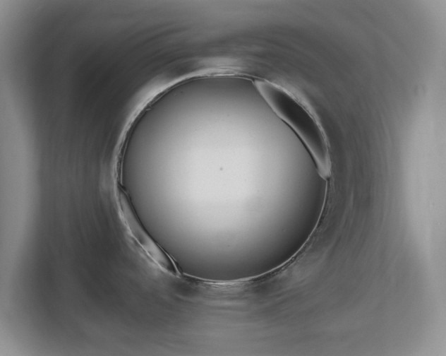 X0000112541488200908241517