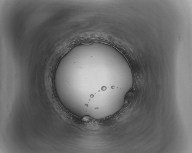 X0000112541489200908241516