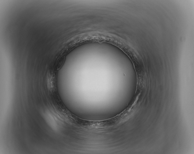 X0000112541490200908241516