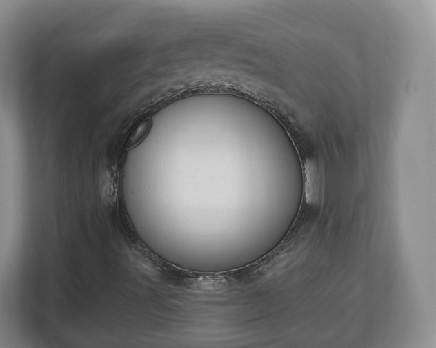 X0000112541491200908241516