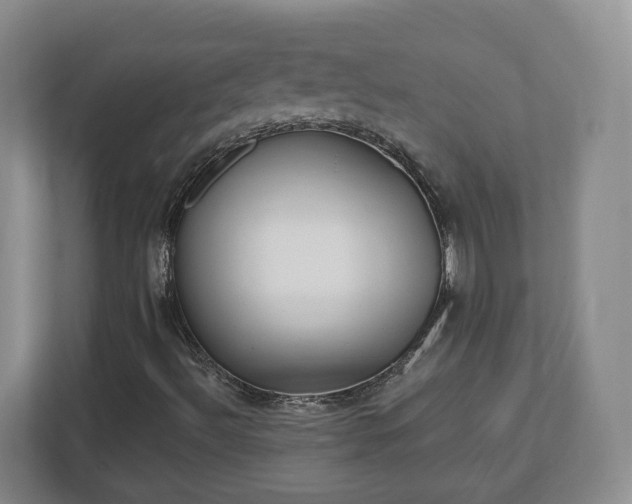 X0000112541492200908241516