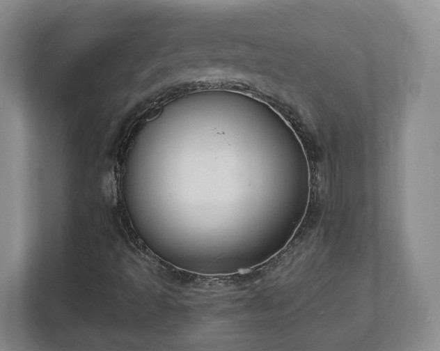X0000112541493200908241516