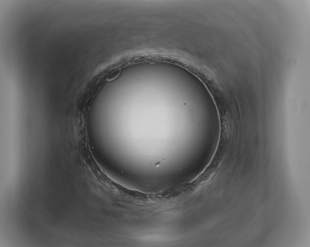 X0000112541494200908241516