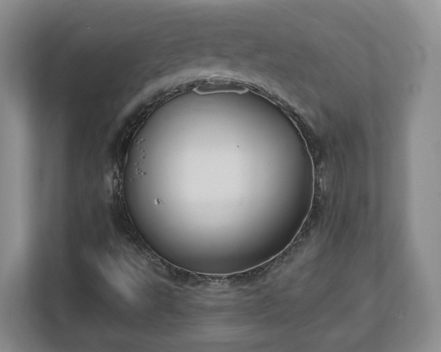 X0000112541495200908241516