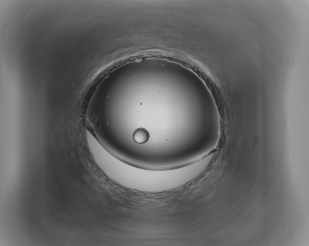 X0000112541496200908241516