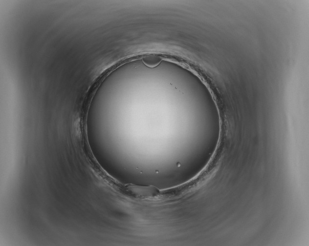 X0000112541497200908241516