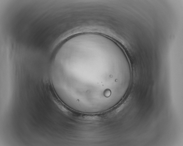 X0000112541498200908241516