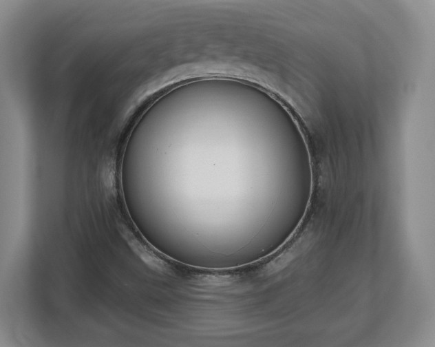 X0000112541499200908241516