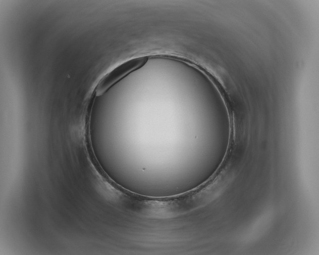 X0000112541500200908241516