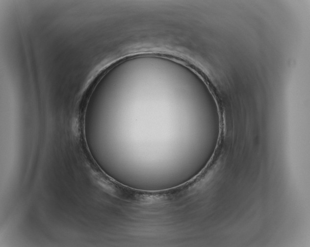 X0000112541501200908241516