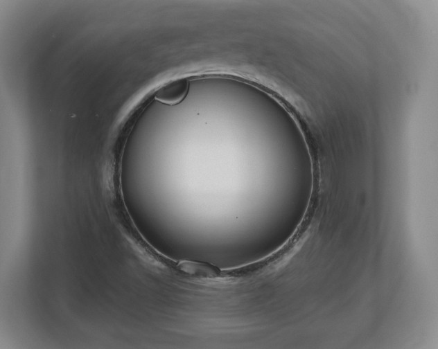 X0000112541502200908241516