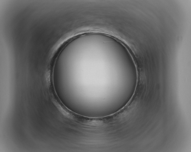 X0000112541503200908241516