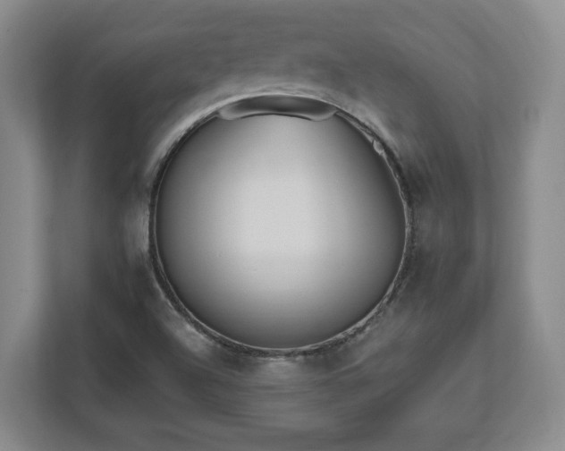 X0000112541504200908241516