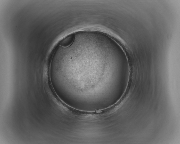 X0000112541506200908241516