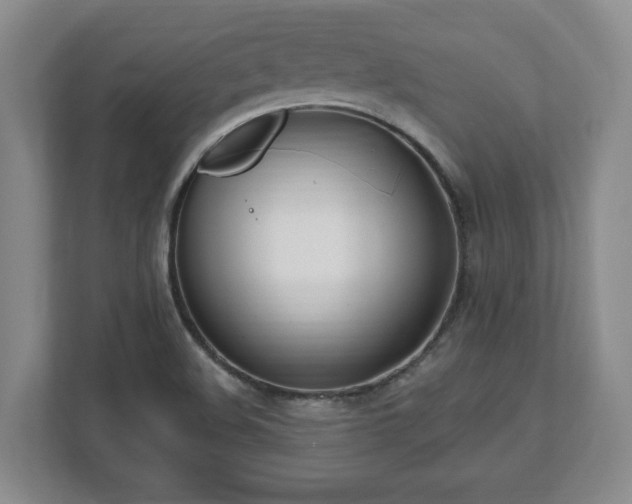 X0000112541508200908241516