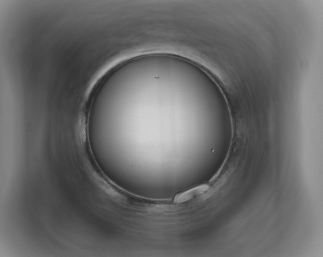 X0000112541510200908241516