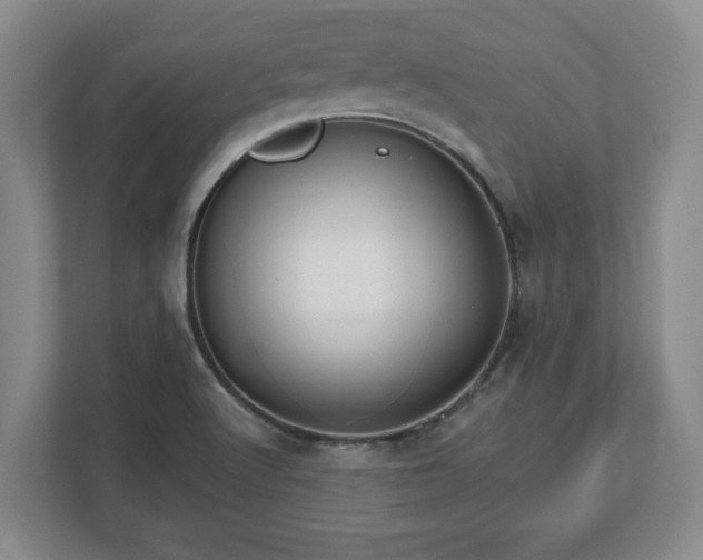 X0000112541512200908241516